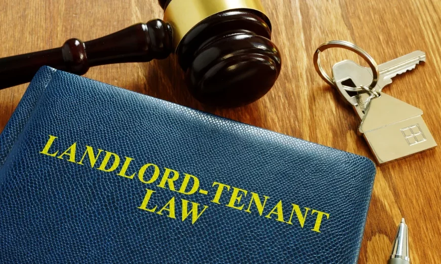 Estates and Tenancies, Non-Freehold or Leasehold Estates