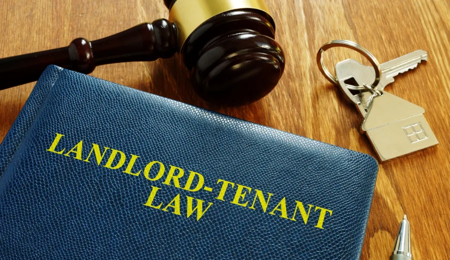 Estates and Tenancies, Non-Freehold or Leasehold Estates